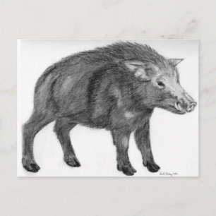 Vild Boar, försvarsställning Vykort