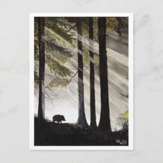 Vild Boar Vykort