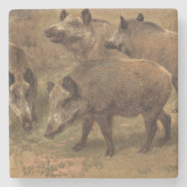 Vild Boars in a Grassy Ligcape (av Rosa Bonheur) Stenunderlägg