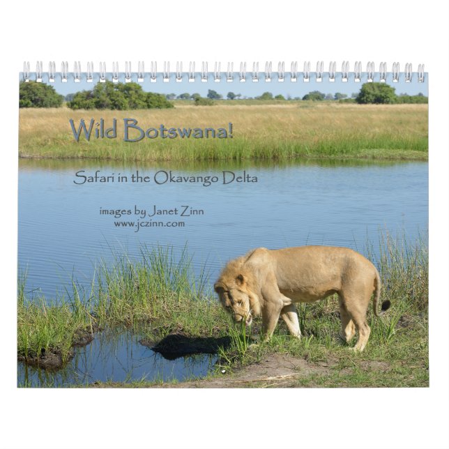 Vild Botswana! Safari i den Okavango deltan Kalender (Omslag)