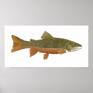 Vild Brook Trout Poster