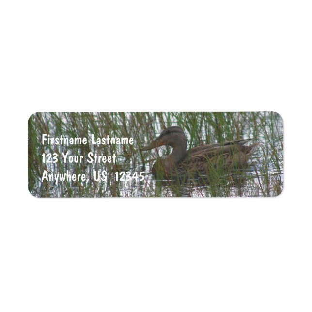 Vild Brown Anka i Pond Nature Adress Returadress Etikett (Framsidan)
