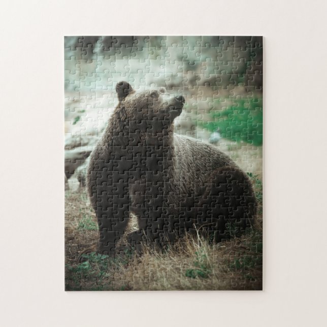 Vild Brown Grizzly Bear Forest Nature Scenery View Pussel (Vertikal)