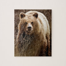 Vild Brown Grizzly Bear - Wilderness