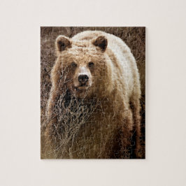 Vild Brown Grizzly Bear - Wilderness Pussel