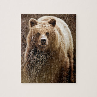 Vild Brown Grizzly Bear - Wilderness Pussel