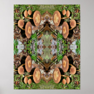 Vild Brown Mushroom Cluster Abstrakt Poster