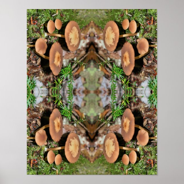 Vild Brown Mushroom Cluster Abstrakt Poster (Framsidan)