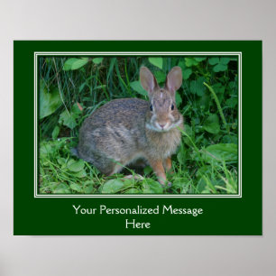 Vild Brown Rabbit Personlig Poster