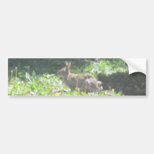 Vild Bunny Bumper Sticker Bildekal