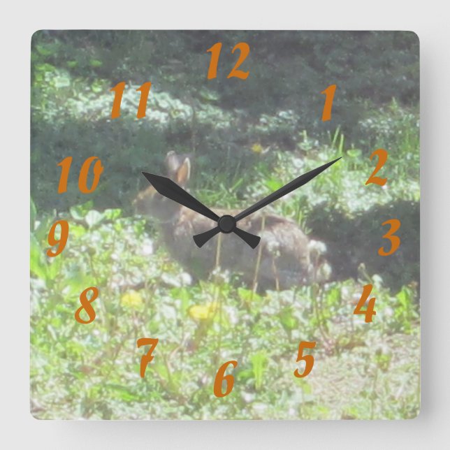 Vild Bunny Clock Fyrkantig Klocka (Framsida)