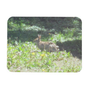 Vild Bunny Flexible Magnet