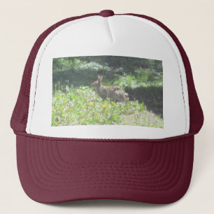 Vild Bunny Hat Keps