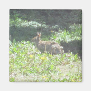 Vild Bunny Magnet