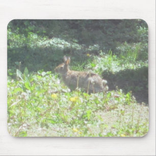 Vild Bunny Mousepad Musmatta