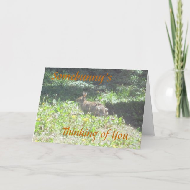 Vild Bunny "Nånting's Thinking of You"-kort Kort (Framsida)