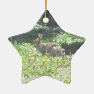 Vild Bunny Ornament