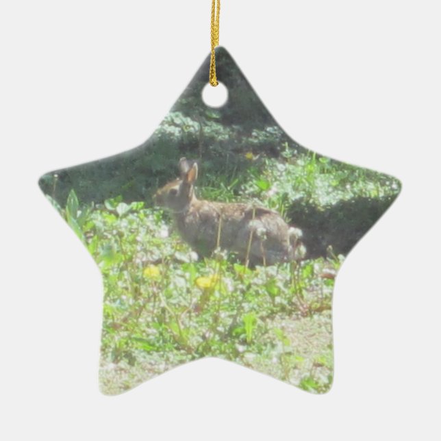 Vild Bunny Ornament (Framsidan)