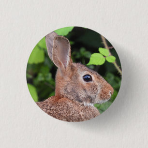 Vild Bunny Rabbit Knapp