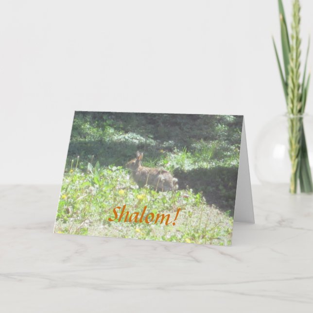 Vild Bunny "Shalom!" Judiska hälsningskort Kort (Framsida)