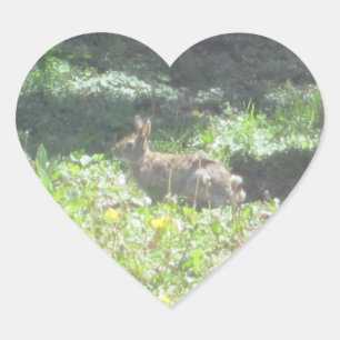 Vild Bunny Stickers - 20 Lakan Hjärtformat Klistermärke