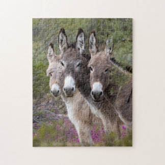 Vild Burro-familjen Pussel