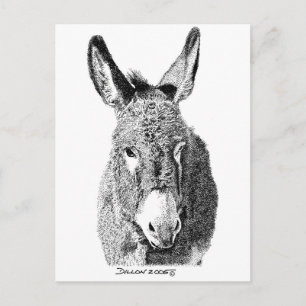 Vild Burro Vykort