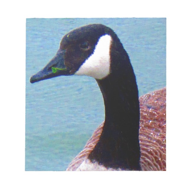 Vild Canadian Goose Anteckningsblock (Framsida)
