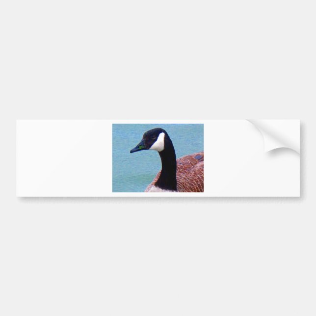 Vild Canadian Goose Bildekal (Framsidan)