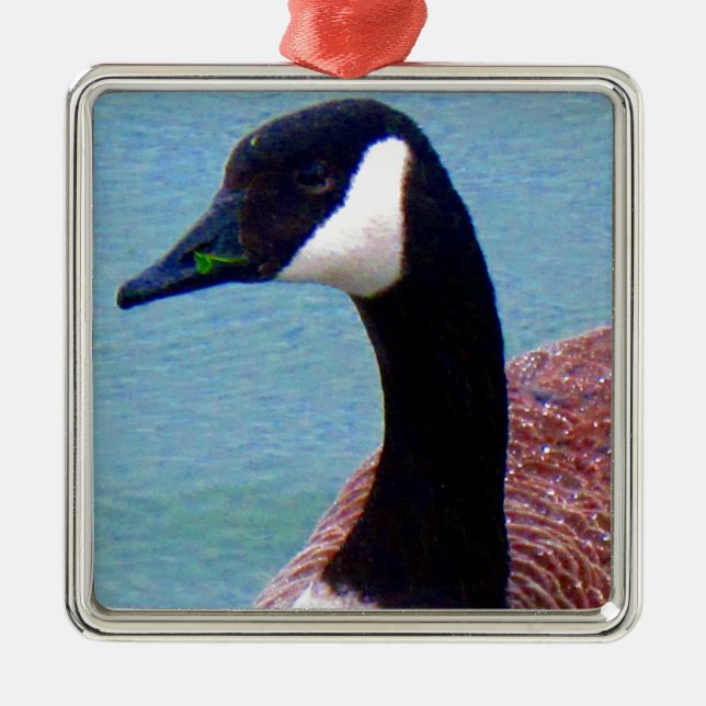 Vild Canadian Goose Julgransprydnad Metall (Framsidan)