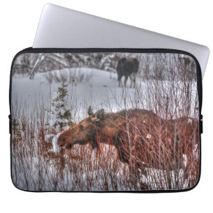 Vild Canadian Moose Cow in Winter Marsh Laptop Sleeve