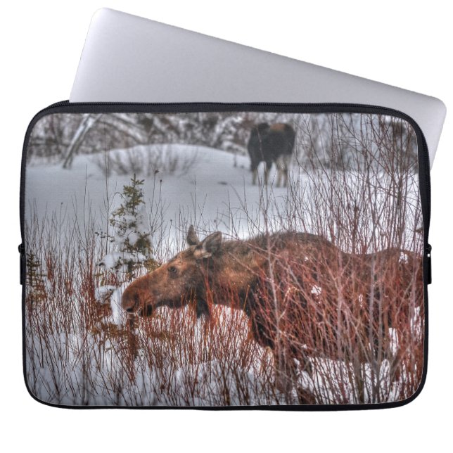 Vild Canadian Moose Cow in Winter Marsh Laptop Sleeve (Framsidan)