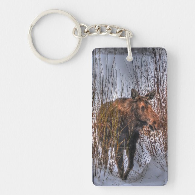 Vild Canadian Moose Cow in Winter Snö I Nyckelring (Framsidan)