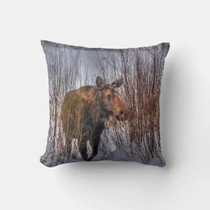 Vild Canadian Moose Cow in Winter Snö Kudde