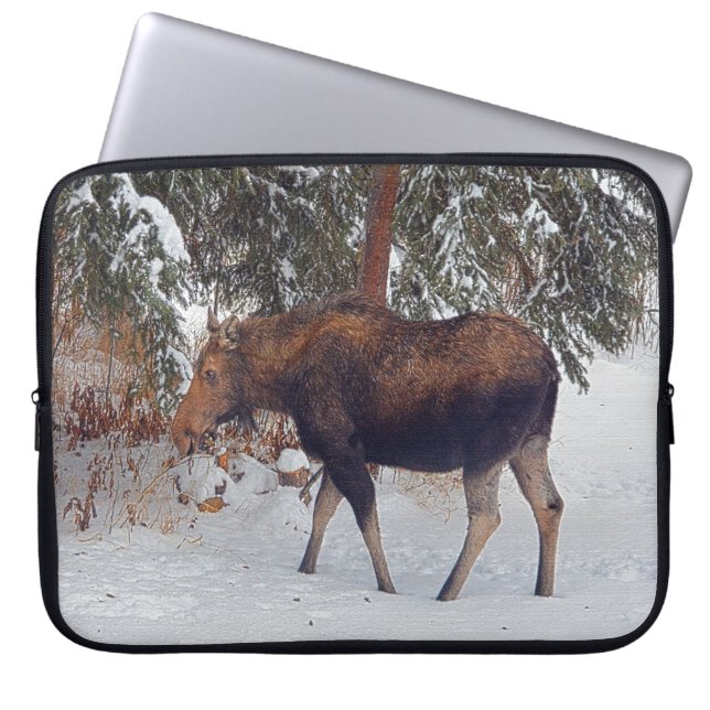 Vild Canadian Moose Cow & Winter Forest II Laptop Fodral (Framsidan)