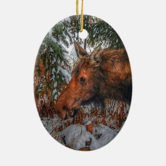 Vild Canadian Moose Grazing in Winter Forest Julgransprydnad Keramik (Baksidan)