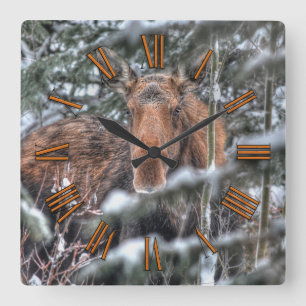 Vild Canadian Moose in Winter Forest Fyrkantig Klocka