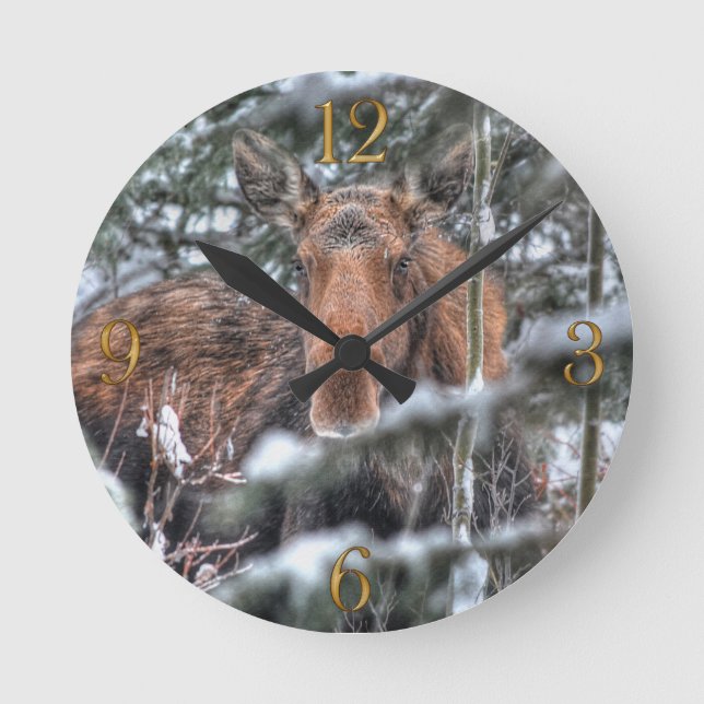 Vild Canadian Moose in Winter Forest Rund Klocka (Framsida)