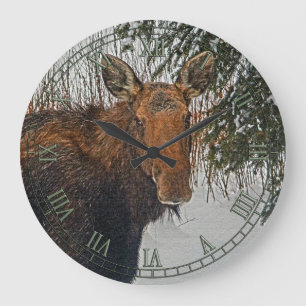 Vild Canadian Moose in Winter Snö IV Stor Klocka