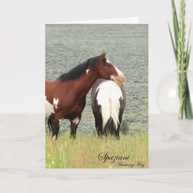 Vild Card~ American Mustangs Kort (Framsida)