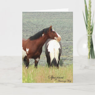 Vild Card~ American Mustangs Kort