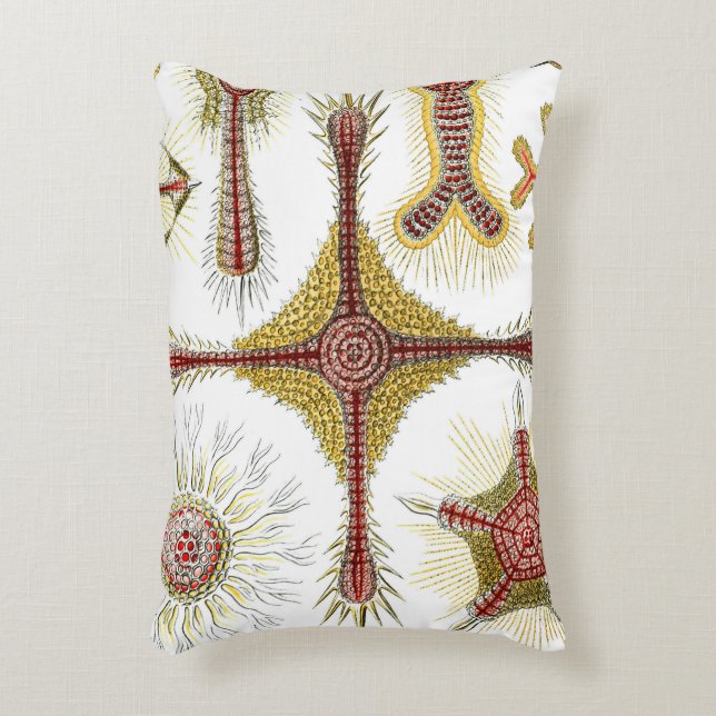 Vild Chamomile by Ernst Haeckel, Vintage Nature Prydnadskudde (Framsidan(Vertikal))