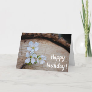 Vild Cherry Flowers Birthday Card Kort