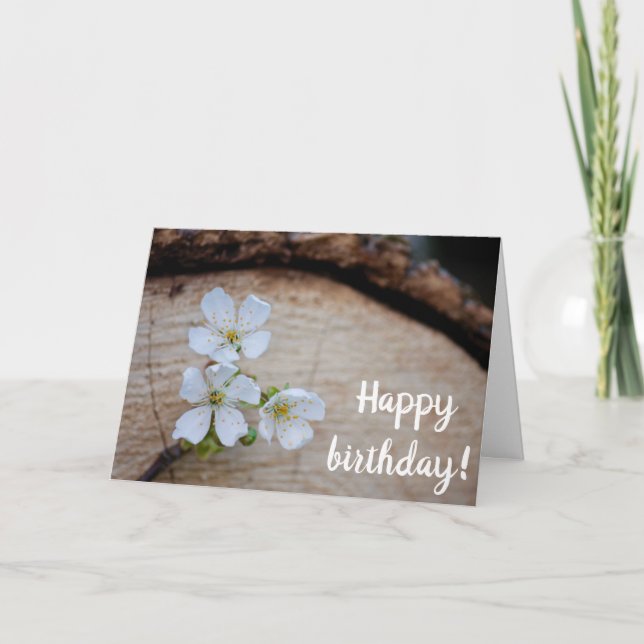 Vild Cherry Flowers Birthday Card Kort (Framsida)