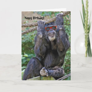 Vild Chimp med solglasögon Kort