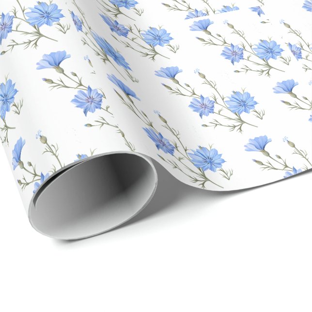 Vild Cikoriablommor Botaniskt vattenfärgsutkast Presentpapper (Rullad Hörn)