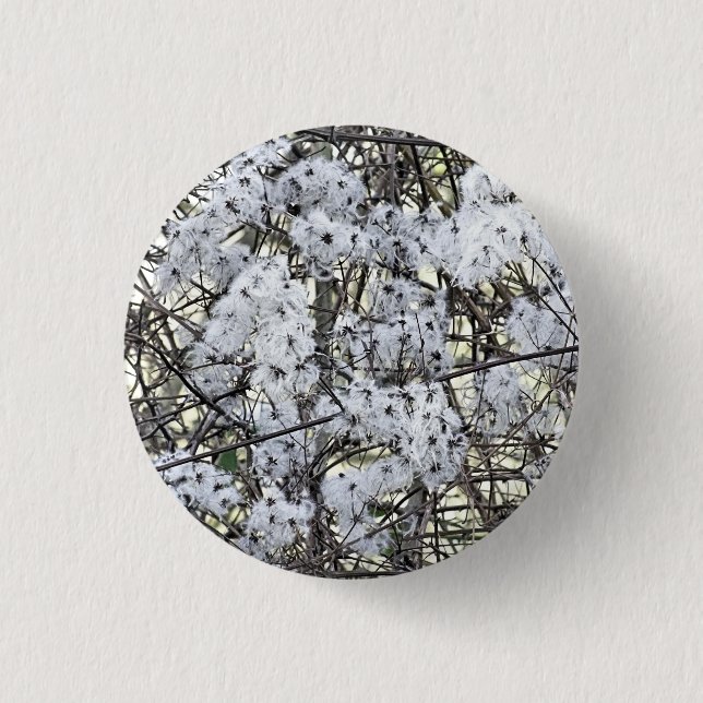 VILD CLEMATIS KNAPP (Framsida)