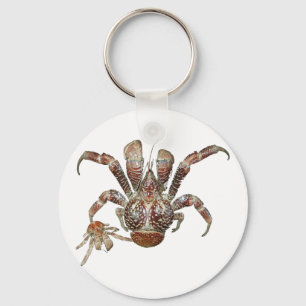 Vild Coconut Crab från karriboböna Nyckelring