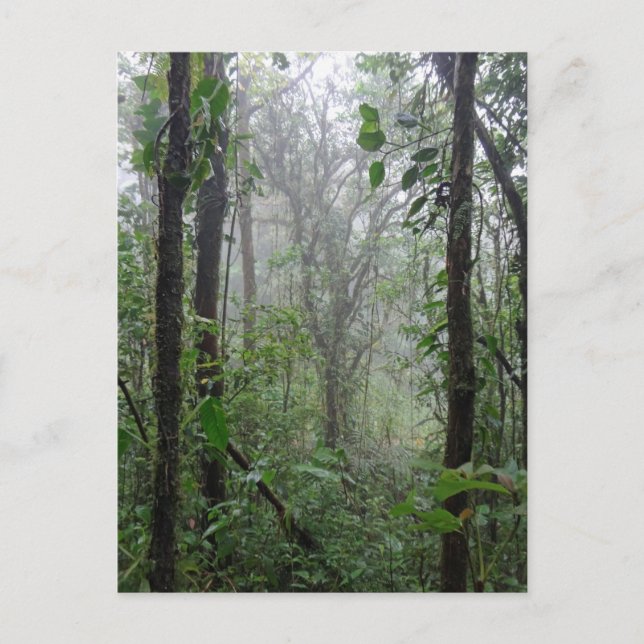 vild costa rica vykort (Framsida)