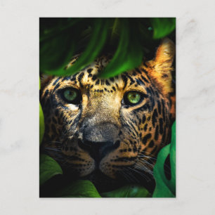 Vild Curiosity: Jaguar Lurking i Jungle Vykort